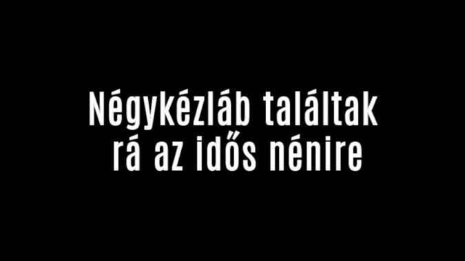 Négykézláb találtak rá az idős nénire